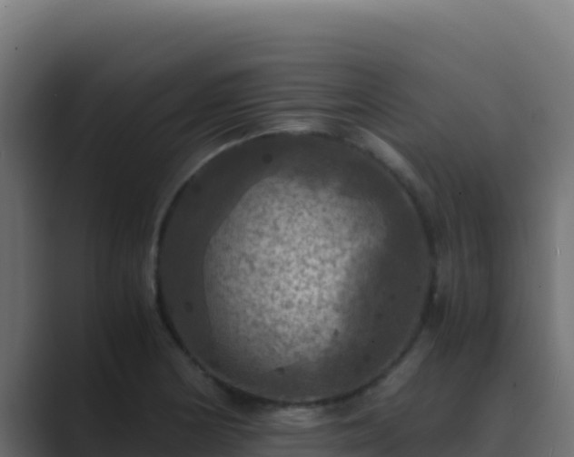 X0000089691178200706281410