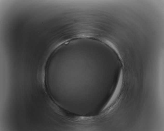 X0000089691179200706281410