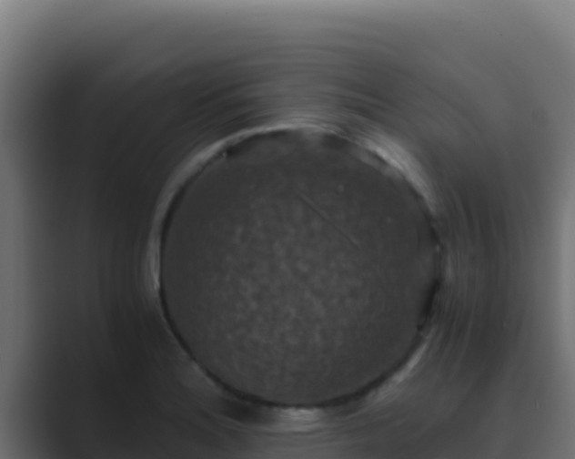 X0000089691180200706281410