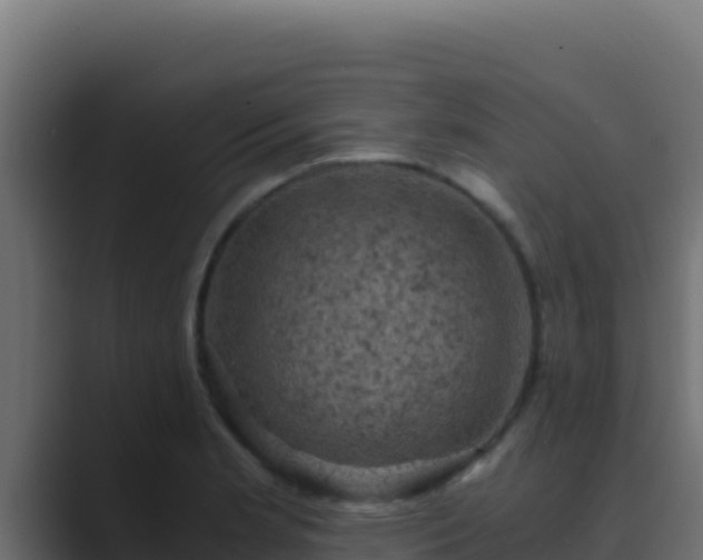 X0000089691181200706281410