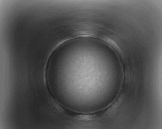 X0000089691182200706281410