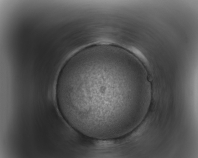 X0000089691183200706281410