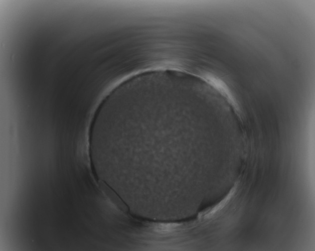 X0000089691184200706281410