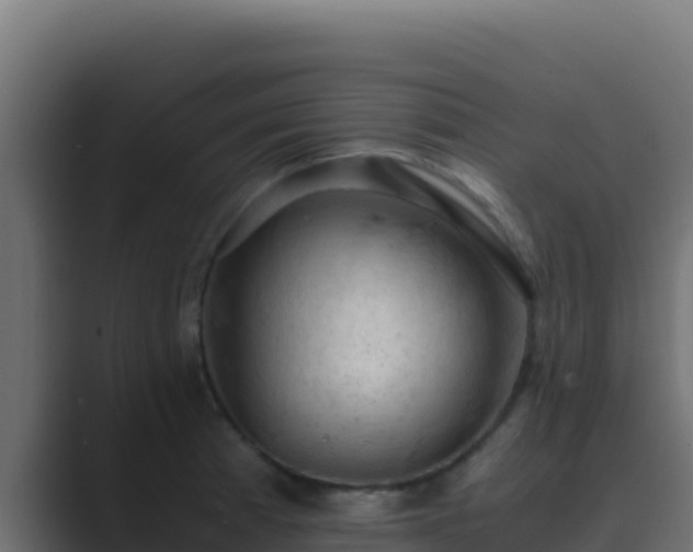 X0000089691185200706281410