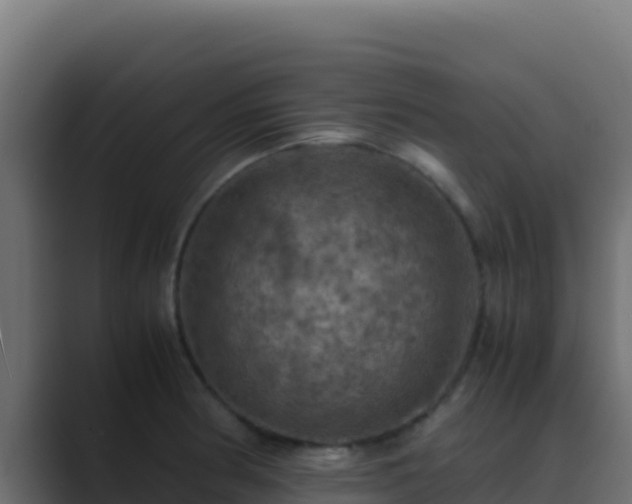 X0000089691186200706281410