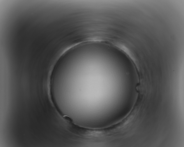 X0000089691187200706281410