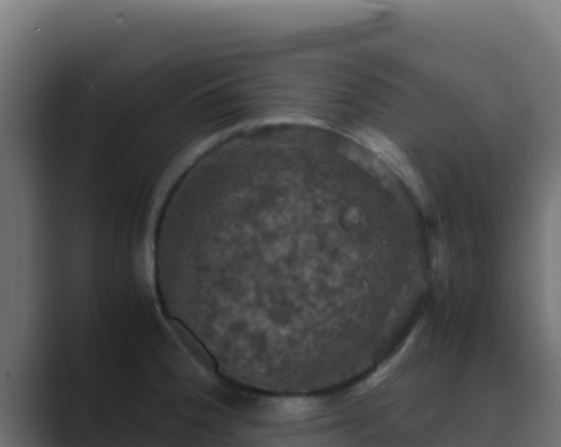 X0000089691188200706281410