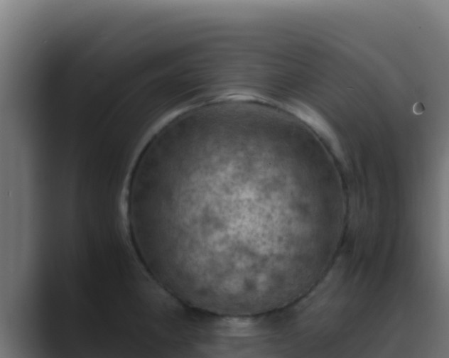 X0000089691190200706281410