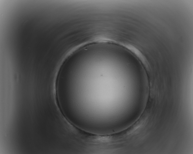 X0000089691191200706281410