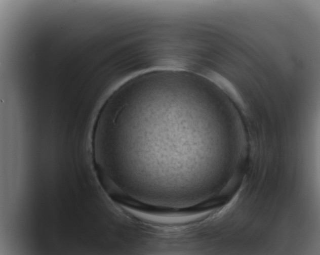 X0000089691192200706281410