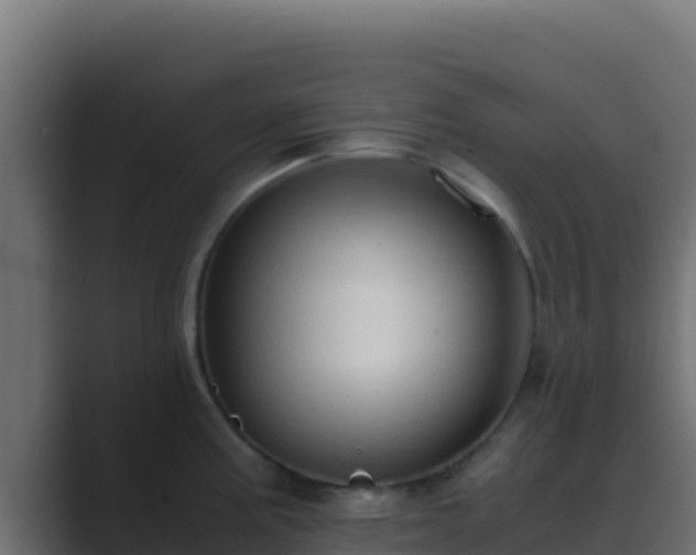 X0000089691195200706281410