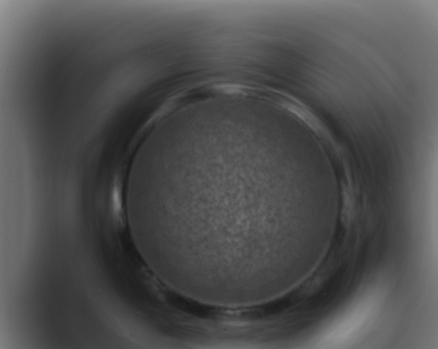 X0000089691198200706281410