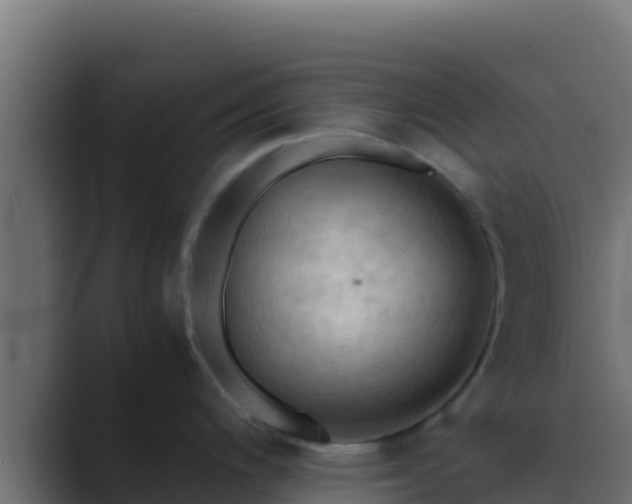 X0000089691200200706281410