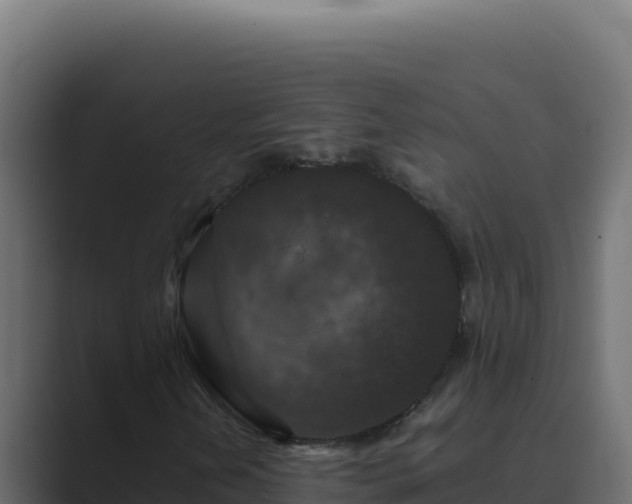 X0000089691202200706281409