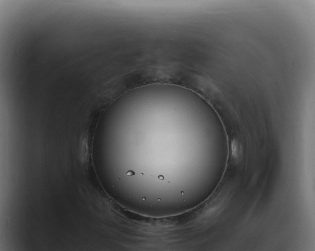 X0000089691203200706281409