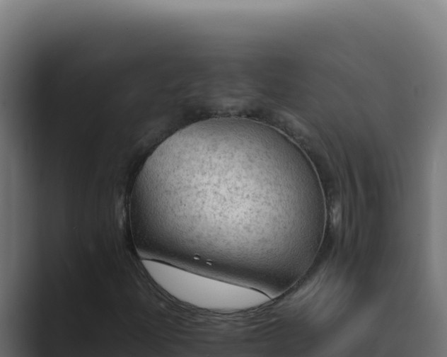 X0000089691204200706281409