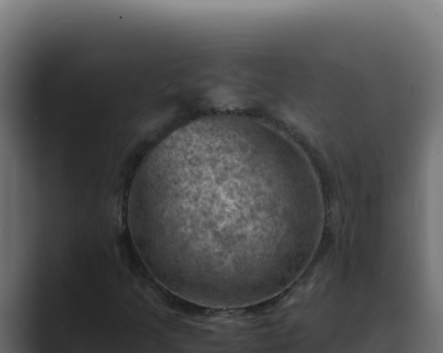 X0000089691205200706281409