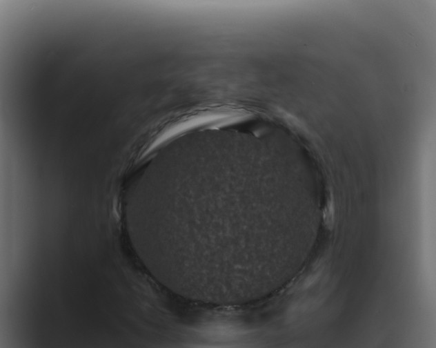 X0000089691206200706281409