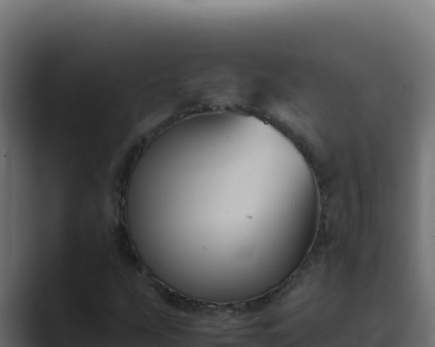 X0000089691207200706281409