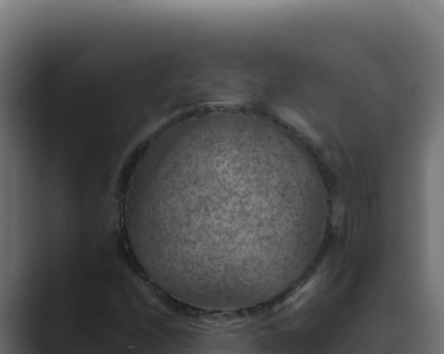 X0000089691208200706281409