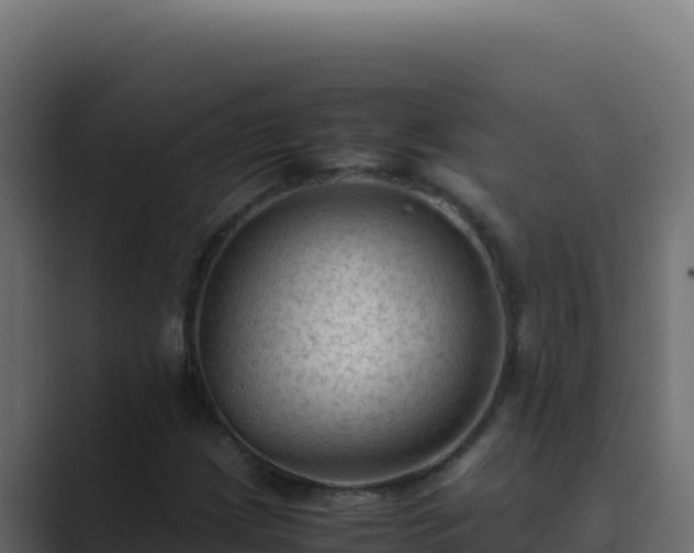 X0000089691209200706281409