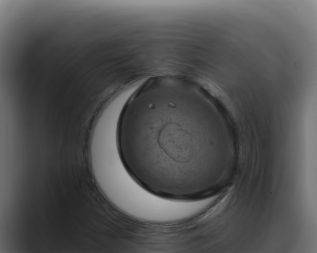 X0000089691210200706281409