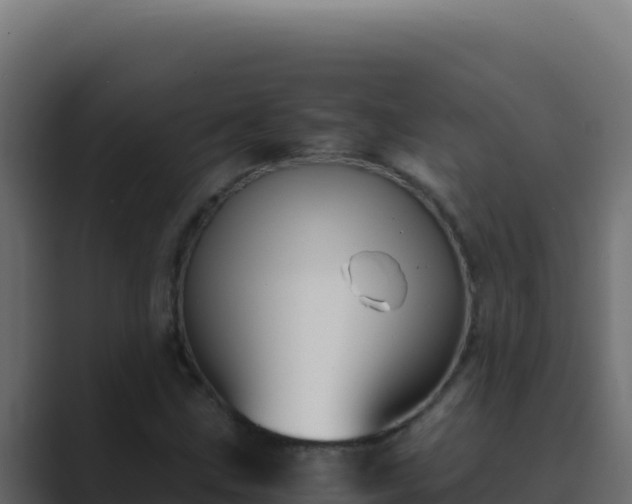 X0000089691211200706281409