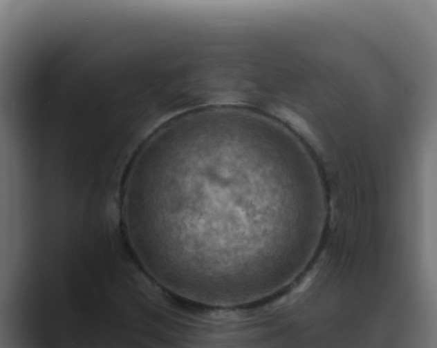 X0000089691212200706281410