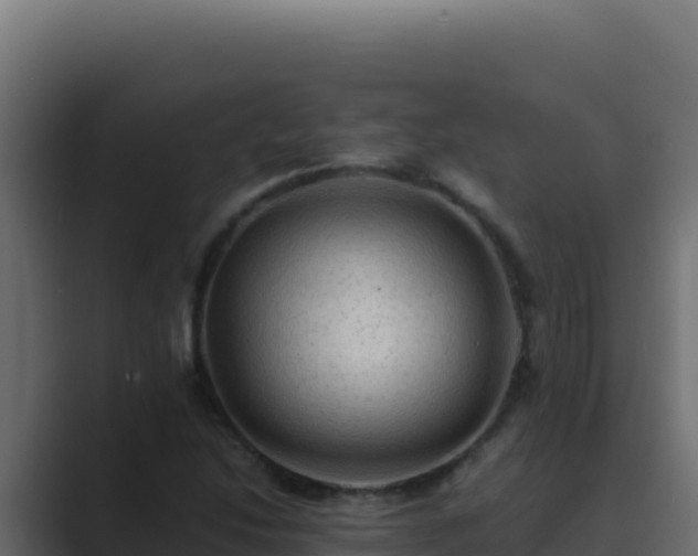 X0000089691214200706281410