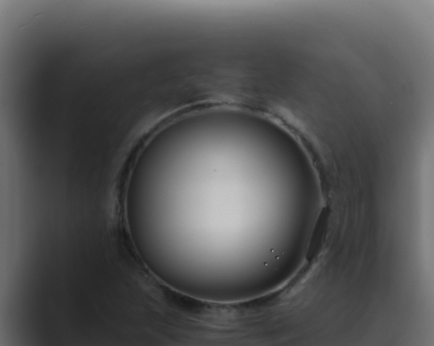 X0000089691215200706281410