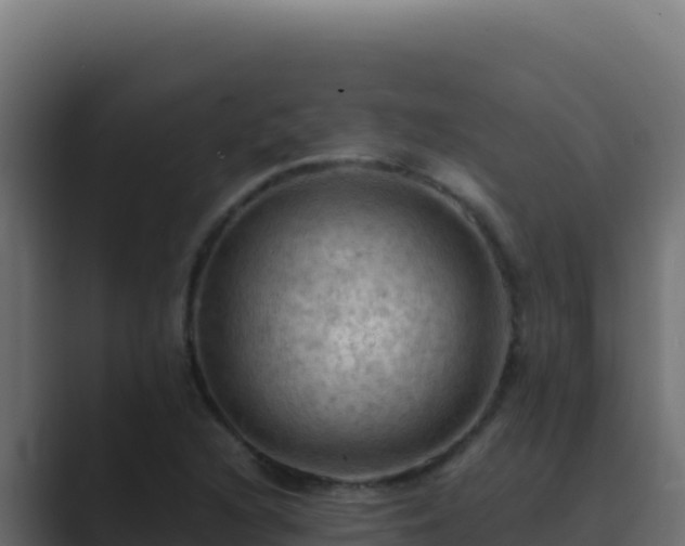 X0000089691216200706281410