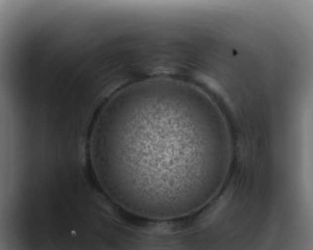 X0000089691217200706281410