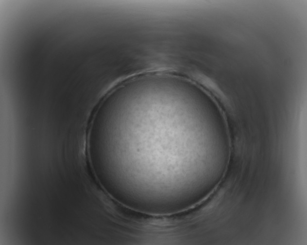 X0000089691220200706281410