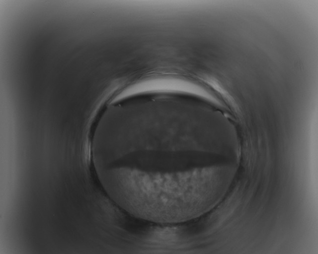 X0000089691221200706281410