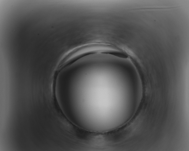 X0000089691222200706281410