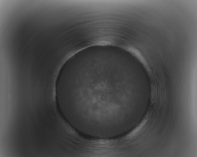 X0000089691226200706281410