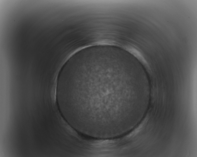 X0000089691228200706281410