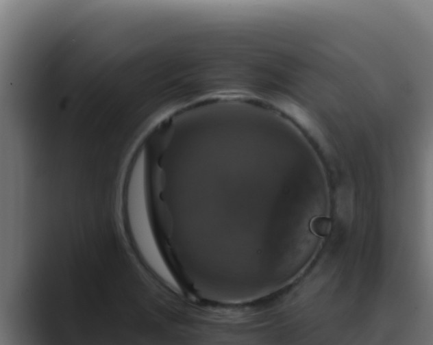 X0000089691229200706281410