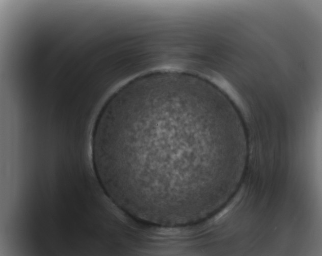 X0000089691232200706281410