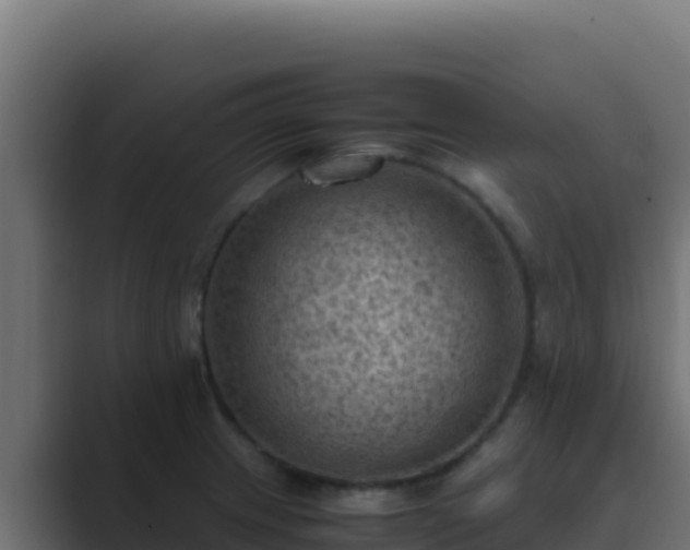 X0000089691233200706281410