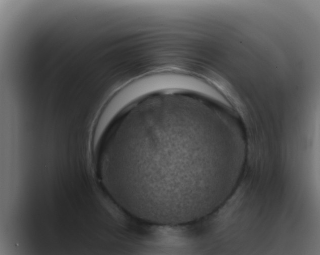 X0000089691234200706281410