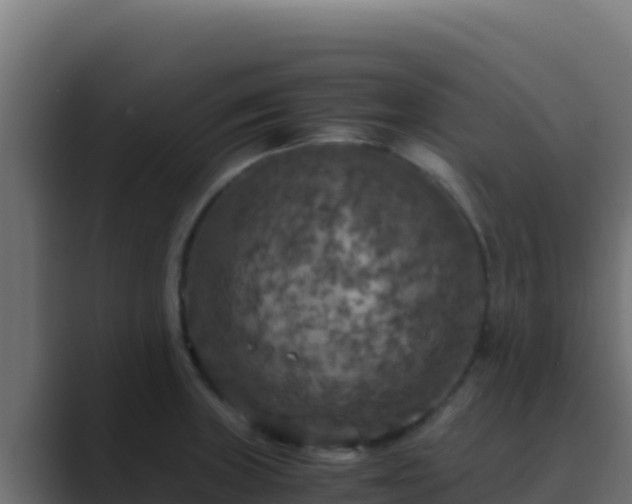 X0000089691235200706281410