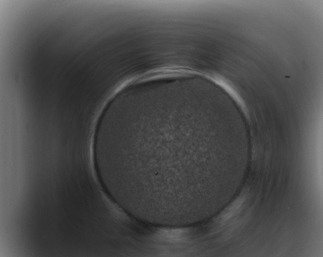 X0000089691237200706281410