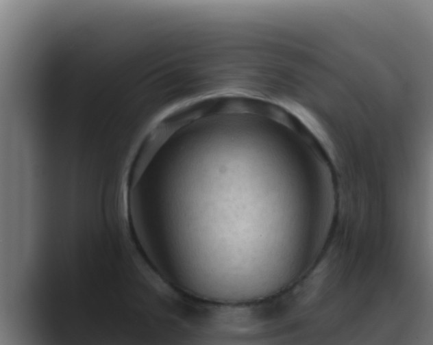 X0000089691238200706281410