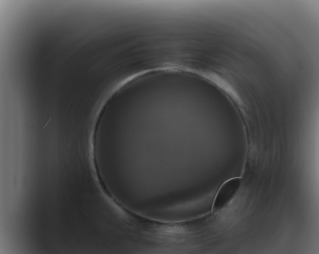 X0000089691239200706281410