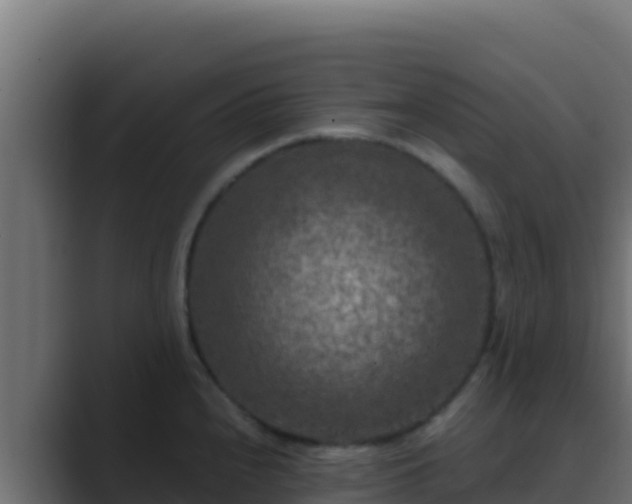 X0000089691240200706281410