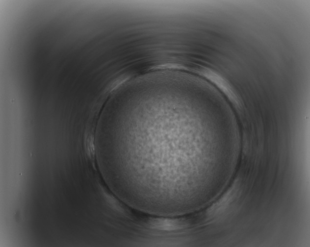 X0000089691241200706281410