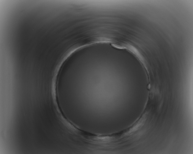 X0000089691243200706281410