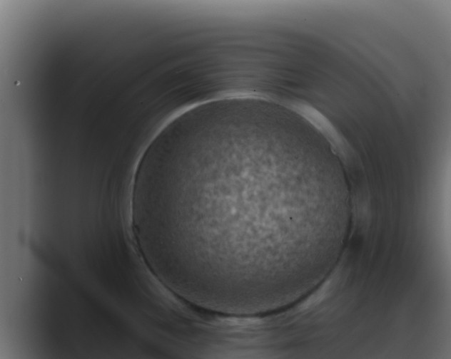 X0000089691244200706281410