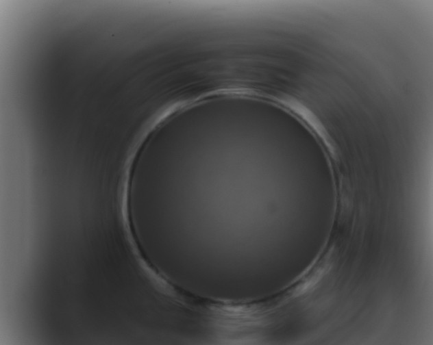 X0000089691245200706281410